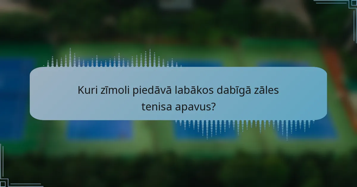 Kuri zīmoli piedāvā labākos dabīgā zāles tenisa apavus?